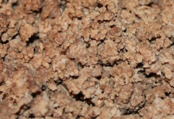 BULK GROUND BEEF (80/20) BULK GROUND BEEF (80/20)