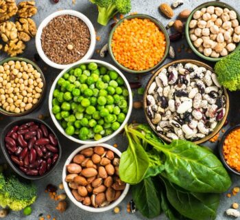 PLANT BASED category image